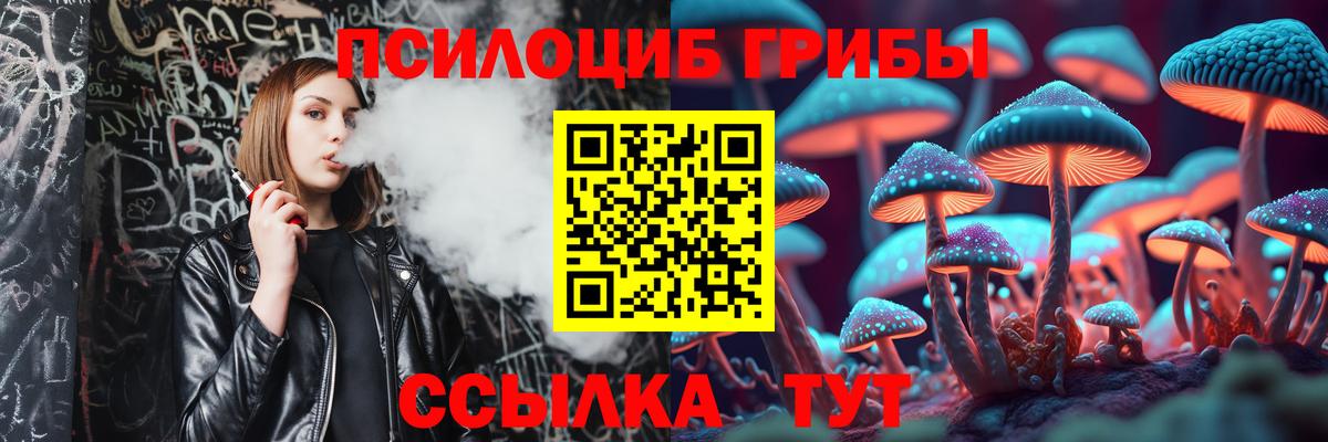 Псилоцибиновые грибы мухоморы Дальнереченск